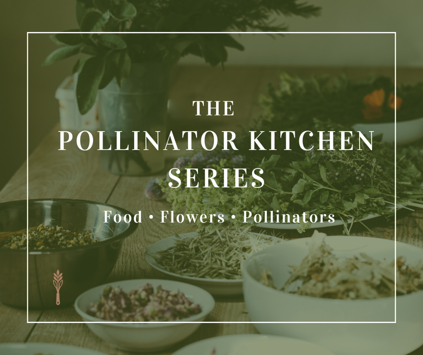 Pollinator Kitchen – Class 4: Small Spaces, Big Impact