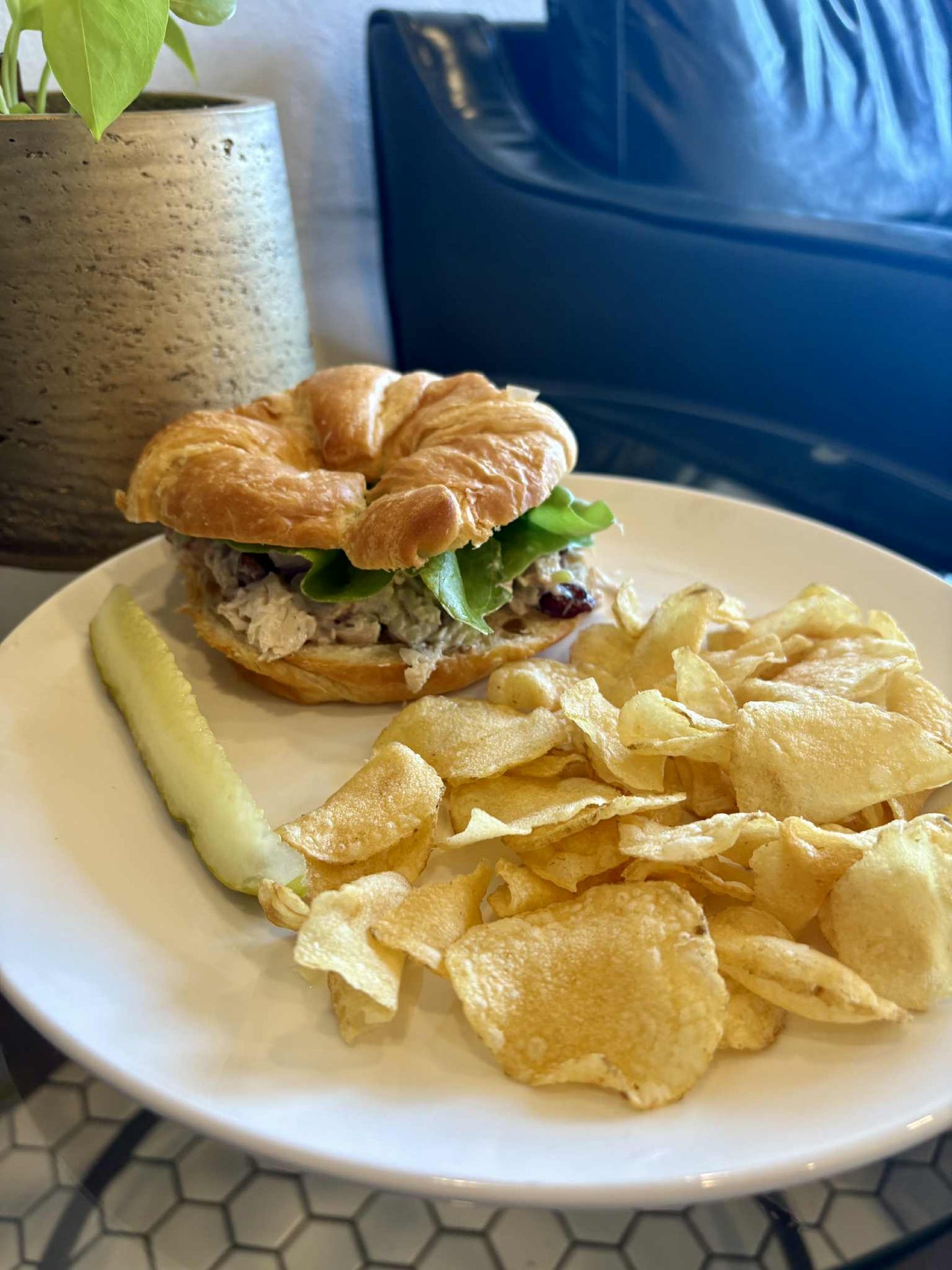 Monday’s Lunch Special: Harvest Cranberry Pecan Chicken Salad Sandwich